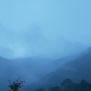 이리농장 이미지