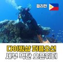 필리핀 세부 막탄다이빙 스킨스쿠버 다이빙샵 퍼플오션 다이브 오픈워터 후기