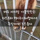 발산목장 | 제주 아이랑 가볼만한곳: 카트부터 먹이주기체험까지! 목장카페 드르쿰다