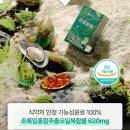 팔팔쇼핑 | [관절 건강 정착템] 씨스팡 관절팔팔 310mg 솔직후기 (무릎관절 초록입홍합오일 추천)