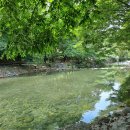 2025년 7월 &#34;하계야유회 산행&#34; (보령 보령댐둘레길 트레킹) 이미지