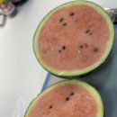 야채왕자 과일공주 이미지