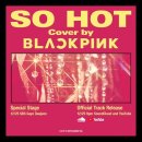 🎵블랙핑크 - SO HOT (THEBLACKLABEL Remix) Official Track 이미지