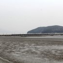 청천사슴