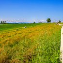 한수목장 이미지