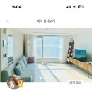 펫플래닛 | 펫플래닛 강아지 펫시터 어플 내돈내산 후기