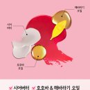 맥(MAC) | 맥 립글로스 MAC 463 BEYOND 립밤 후기