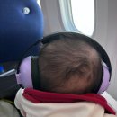 대가게이트볼장 화장실 | 6개월 아기랑 도쿄 여행 #1 에어프레미아 YP731 와이드 프리미엄 후기