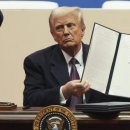 증산 태양광발전소 이미지