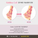 골든발란스의원 이미지