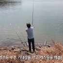 평지낚시