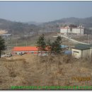 청원초교 이미지