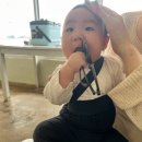 젠타일스 스튜디오