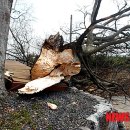 서천소방서-42 이미지