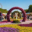 화순 남산공원 로컬힙 프로젝트 | 2026 봄의 전국 문화 축제 목록 | 3월 4월 5월 6월 개최 축제의 장소, 일정, 내용, 주관 기관 등