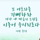 샬롬