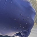 상남동211 이미지