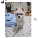 장유휴게소(식당) | 2025년 7월 6일 - 10일 나트랑🇻🇳