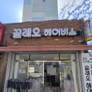 끌레오헤어비스