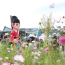 세종대왕태권도 이미지