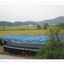 파평농원 이미지