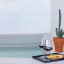 스테이수안 이미지