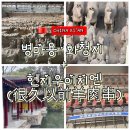 호갱양꼬치 | 여행 병마용갱·화청지 코스 + 헌지우이치엔(很久以前 羊肉串) 양꼬치 솔직 리뷰(상하이 지점과 비교 포함)