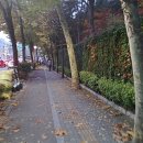 고대위드학원