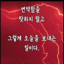 백년해로 이미지