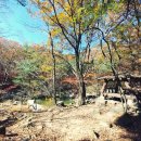 제3관문 옆 화장실 이미지