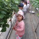 솔숲어린이집 이미지