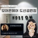 성학 | 압구정미용실 모어온헤어 도산공원점 성학 디자이너 헤어컨설팅 내돈내산 후기