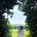 쨍세탁 | ·̩͙꒰ঌ( っ️˘꒳˘)っ*.+ﾟ 제주 네가 좋아, 네가 예뻐서 좋아 ( ˶'ᵕ'🫶🏻)💕 제주도 3박 4일 여행 후기!