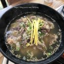 조치원_홍익대학교 정문 이미지