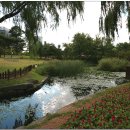 숲속노을로(2) 이미지