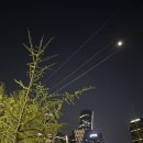 살롱드정인