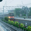 라이프 감정 코칭 이미지