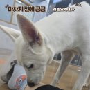 어서멍 Daum카페