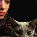 아이러브 캣 이미지