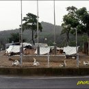 사일온천 이미지