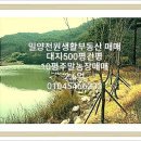 한림축사 이미지