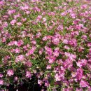 회원동223 이미지