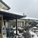 하스 | 눈오는 유후인 하스와 (석식 조식 솔직후기)