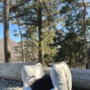 개편하개 이미지