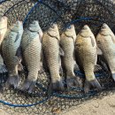 연안낚시터 이미지