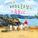중문골프장CC | 제주골프 2인플레이 골프장 바다뷰가능한 중문cc 후기