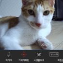 리코컴퍼니 이미지