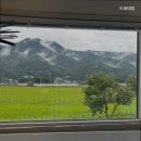 드레네집
