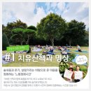 [진안힐링여행] 고요한 '진안' 숲 속 숨겨진 보석을 만나는 <힐링여행>