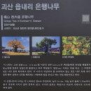 어필각 | 26.2.10 증평 메리놀병원시약소-괴산 보안사-함이재-석보군묘각-장담충신각-청안향교.사마소-청안동헌...